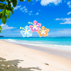 Sunny beach