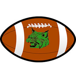 A football with a green bobcat.