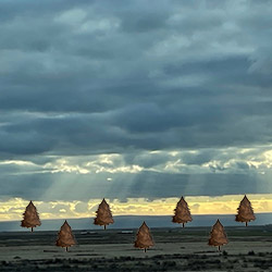 Light coming from the sky with wooden made trees in the desert.