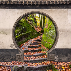 A gate that leads to a forest