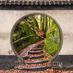 Tunnel leading into Forest.
